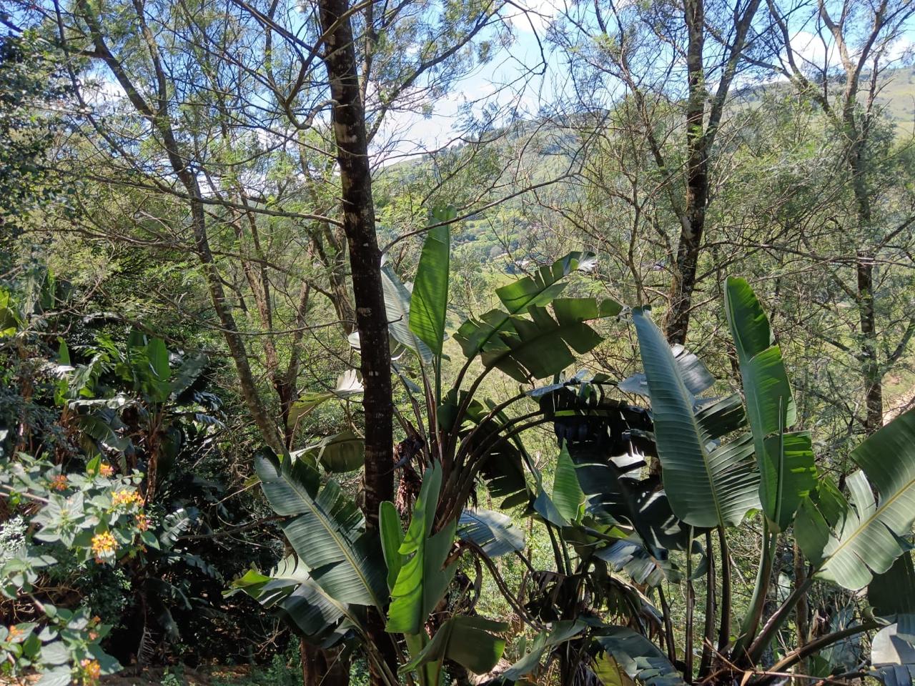 Relaxing gardens