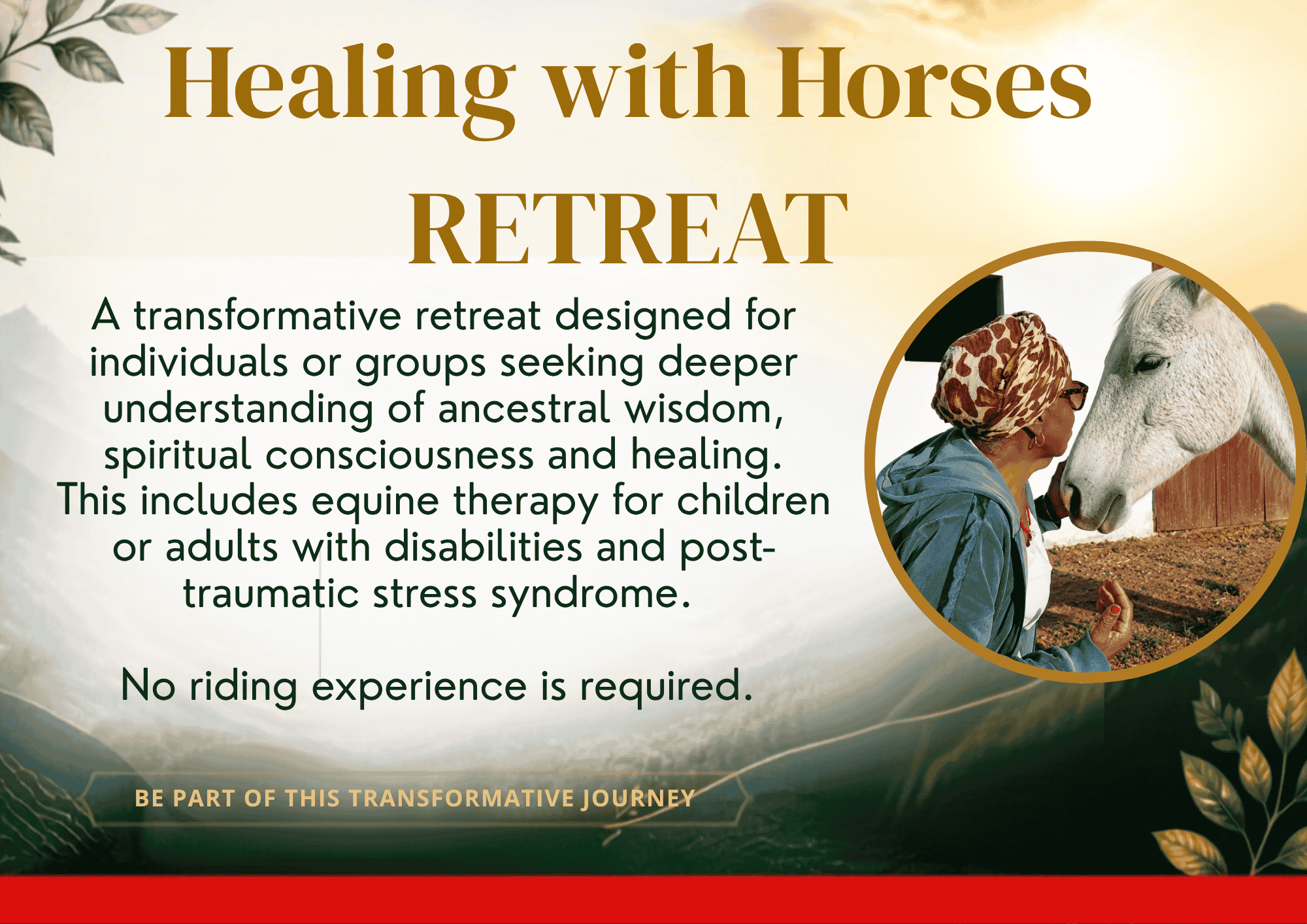 Equine therapy